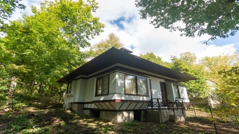 わんわんパラダイス 八ヶ岳(旧:八ヶ岳わんわんパラダイスコテージ)施設イメージ